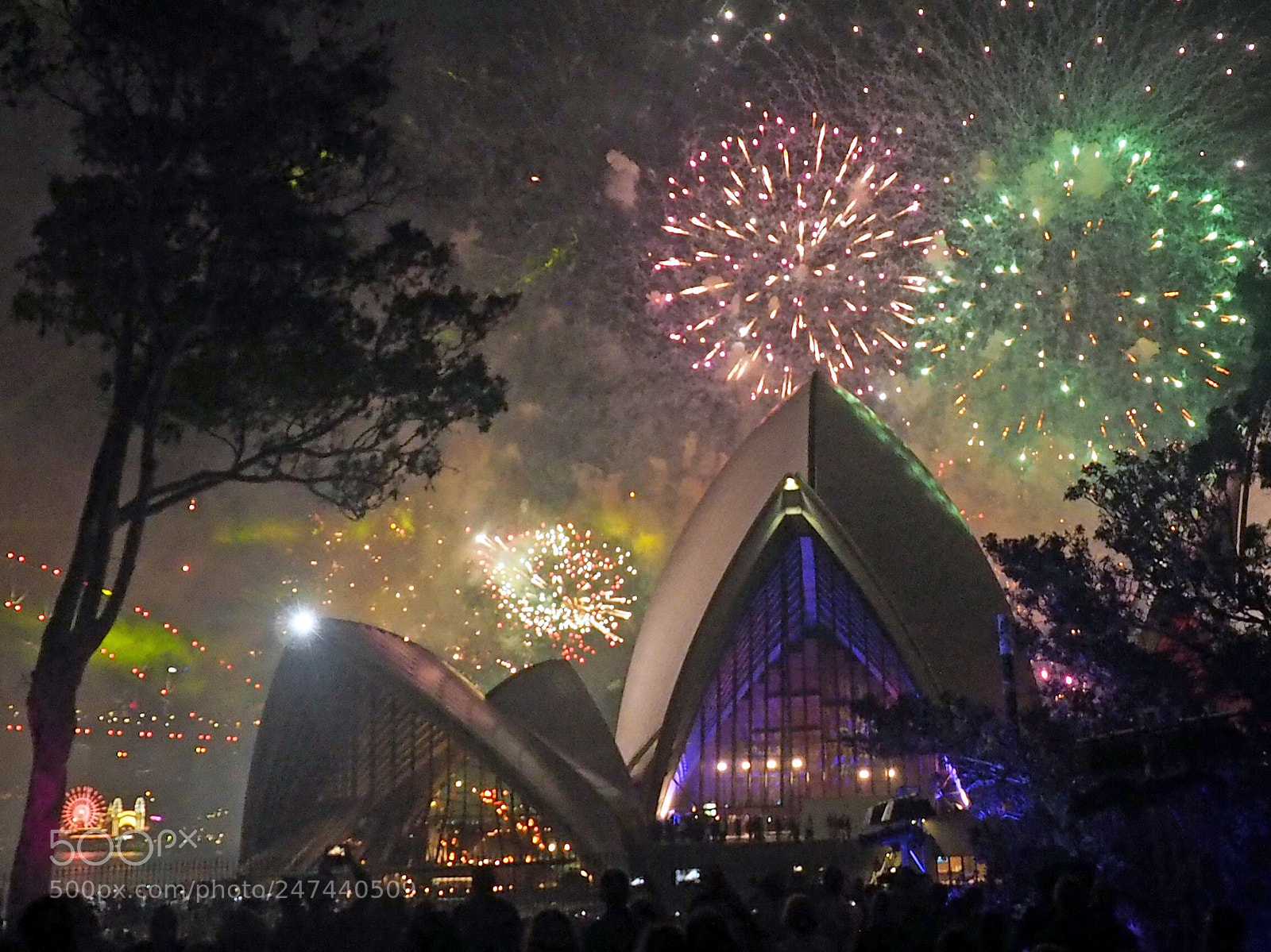 Olympus OM-D E-M1 sample photo. A night at the photography