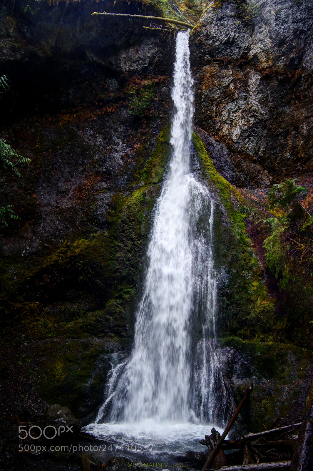Nikon D7100 sample photo. Wonderfall photography