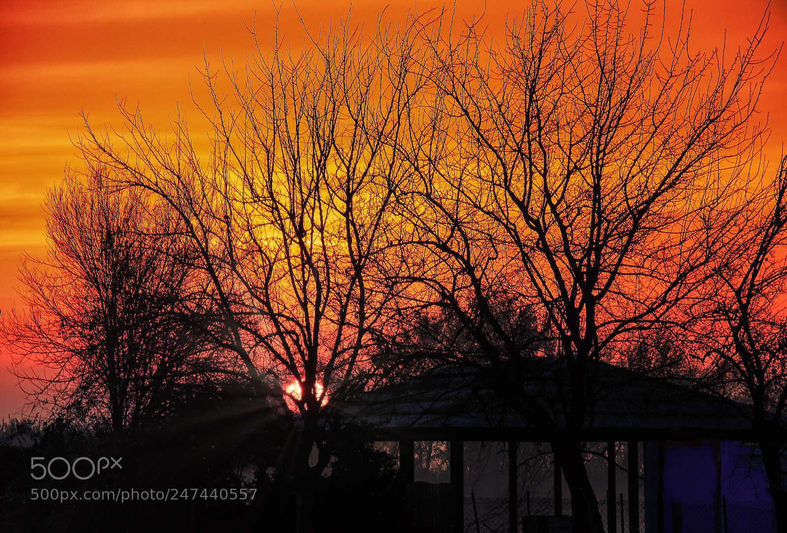 Canon EOS 550D (EOS Rebel T2i / EOS Kiss X4) sample photo. Luz dorada photography