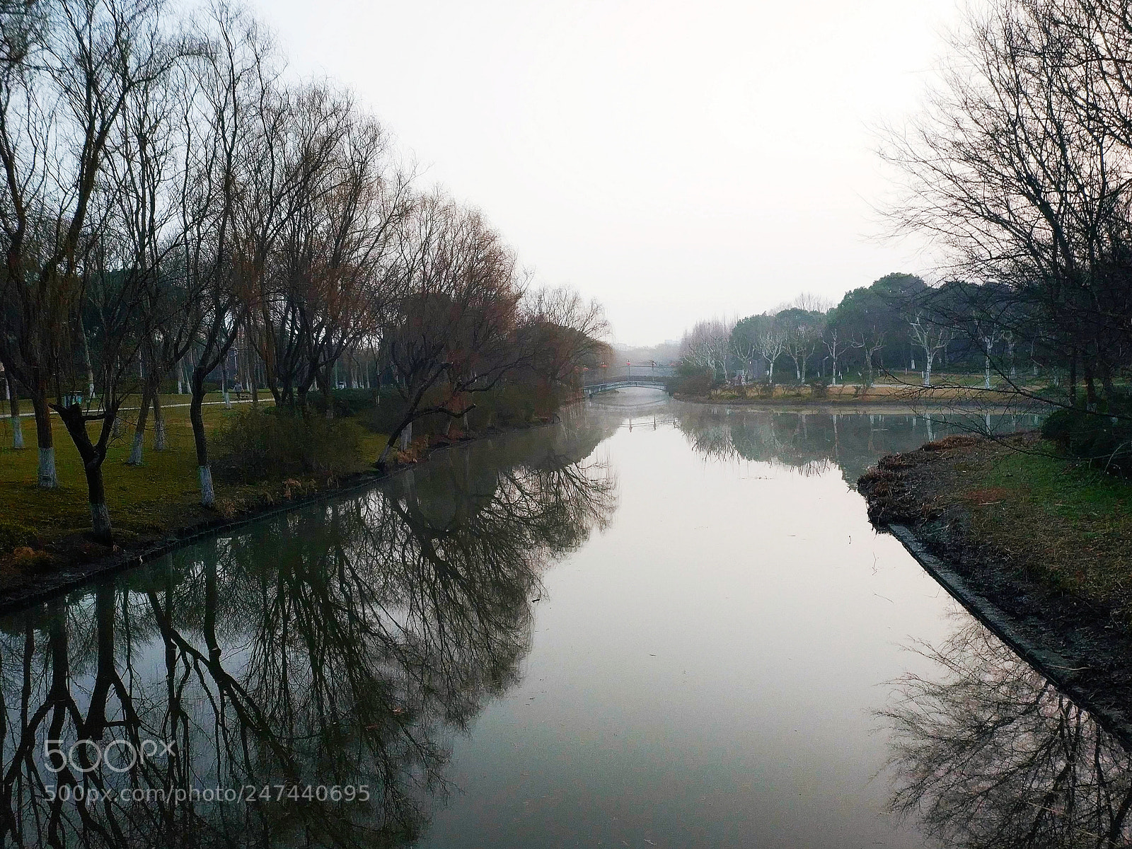 Xiaomi MIX 2 sample photo. Untitled photography