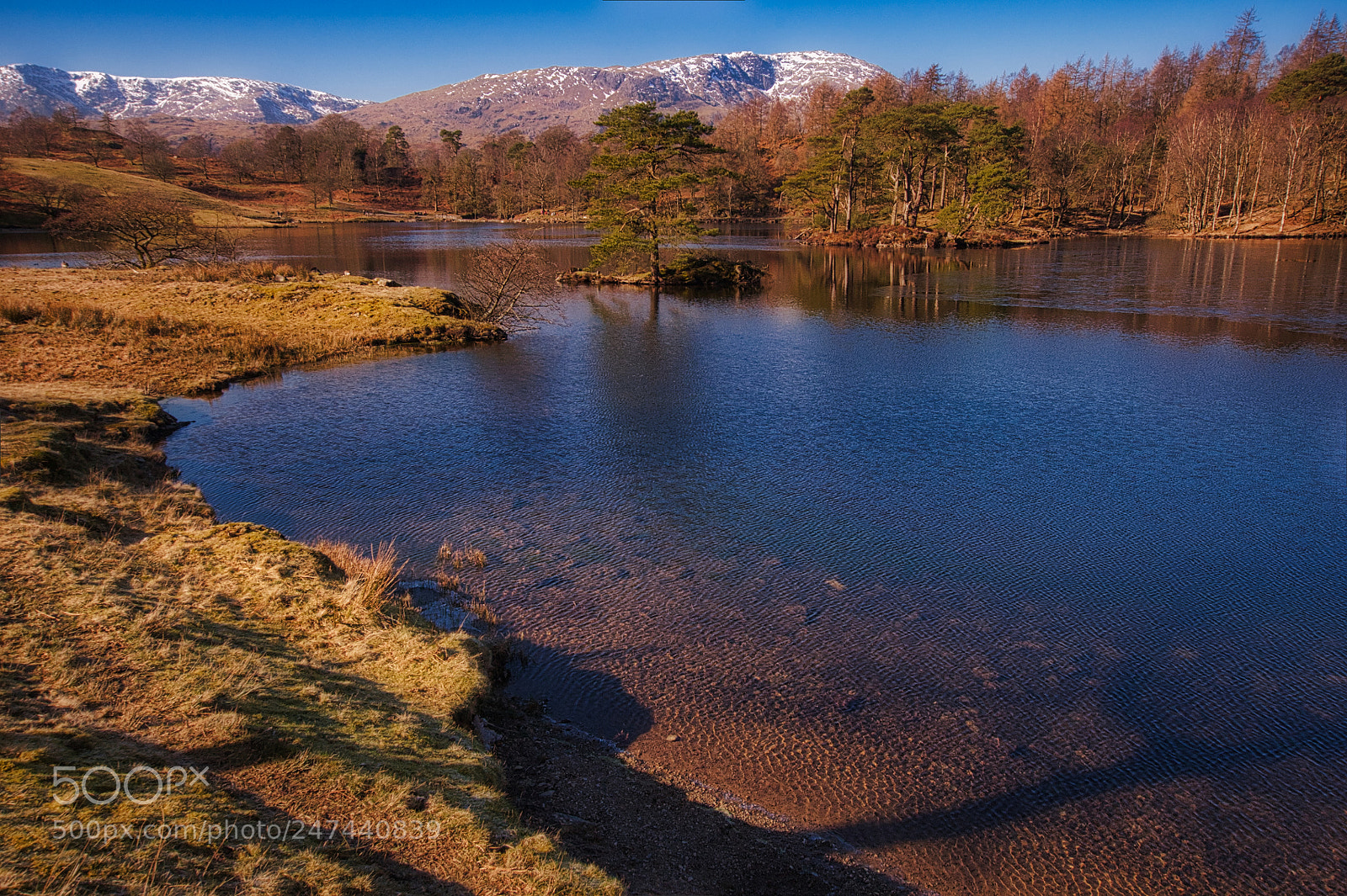Nikon D90 sample photo. Tarn hows, english lake photography