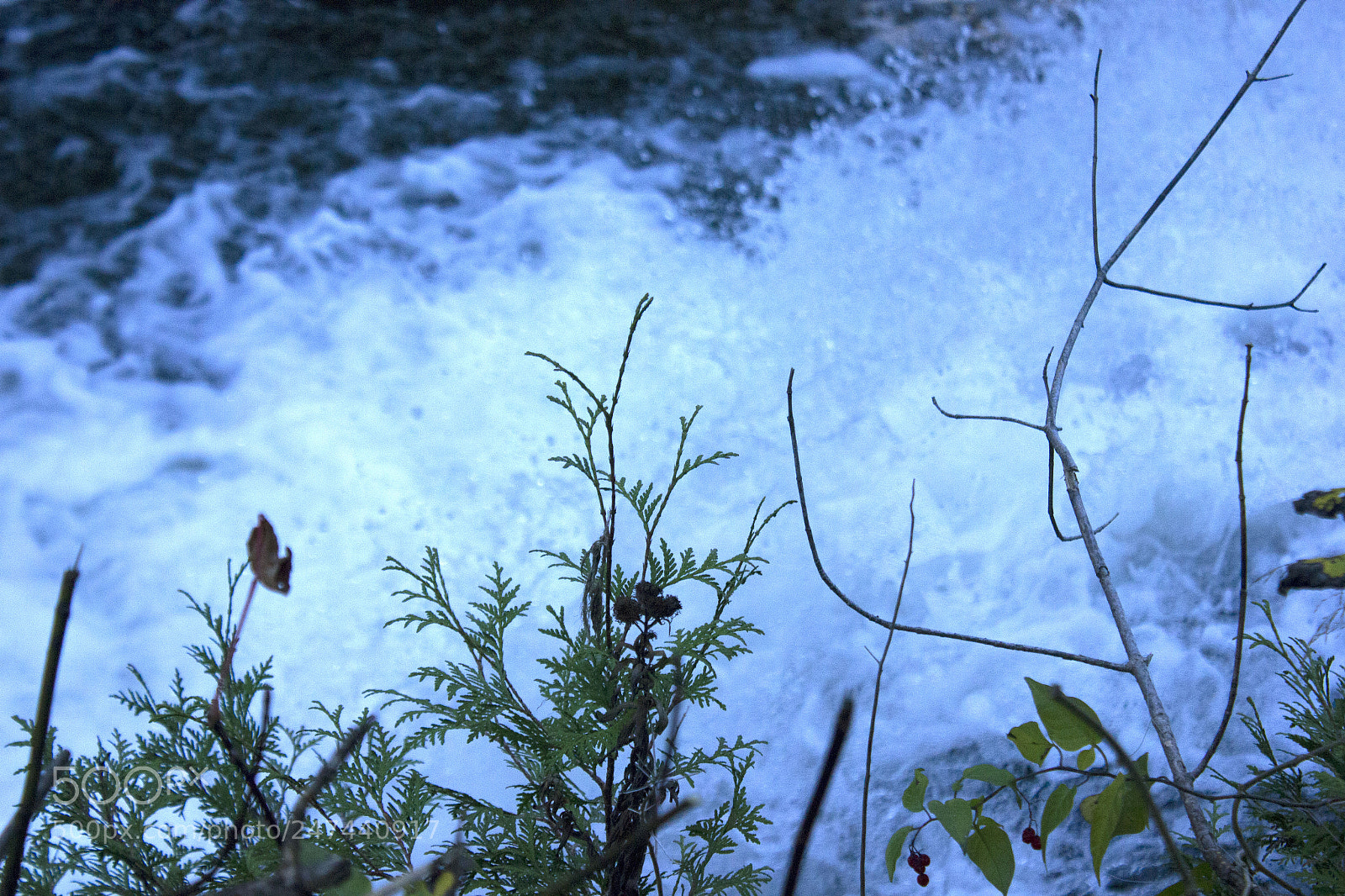 Canon EOS 550D (EOS Rebel T2i / EOS Kiss X4) sample photo. Acqua photography