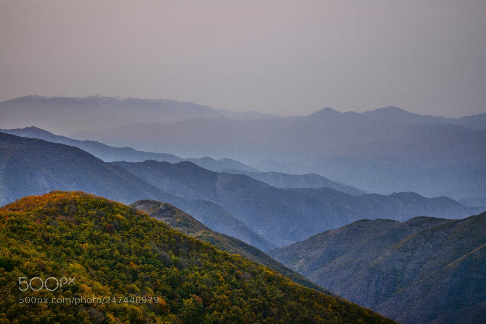 Nikon D7100 sample photo. Pir davood jungles photography