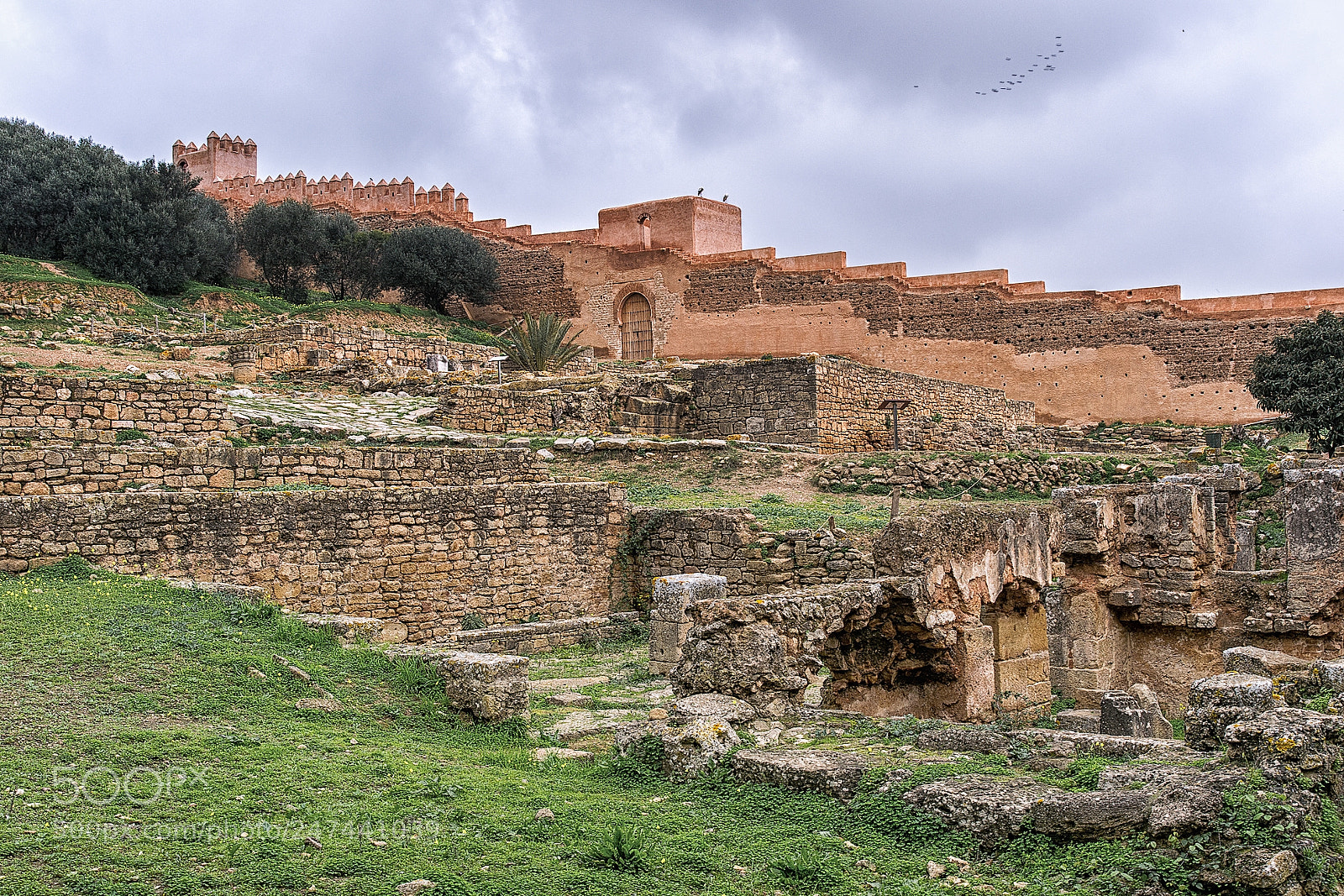 Nikon D3100 sample photo. Chellah in rabat photography
