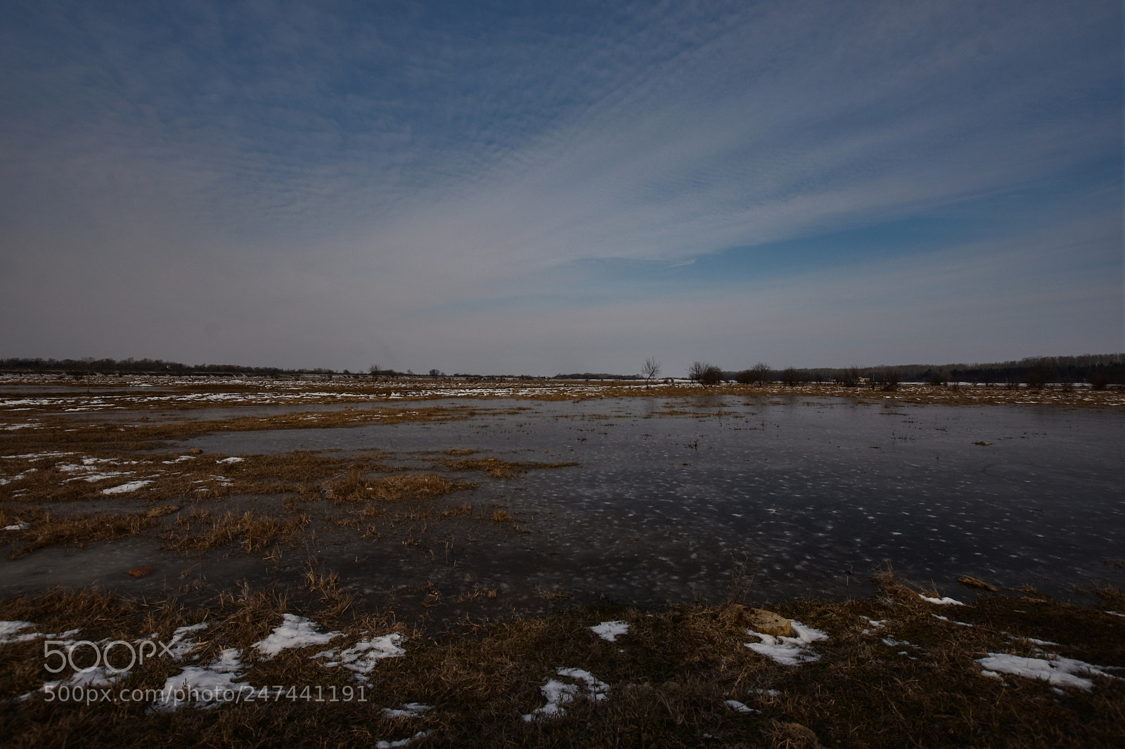 Nikon D7200 sample photo. Untitled photography