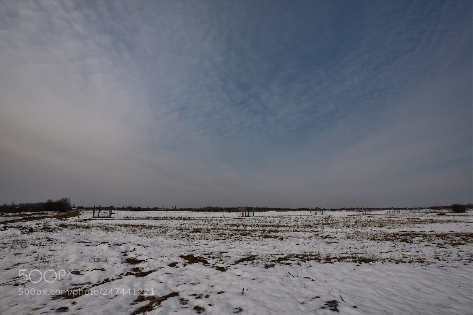 Nikon D7200 sample photo. Untitled photography
