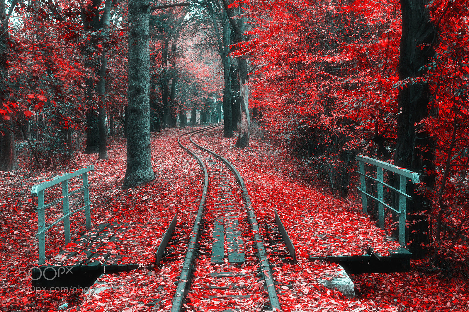 Canon EOS 100D (EOS Rebel SL1 / EOS Kiss X7) sample photo. Railway in the park photography