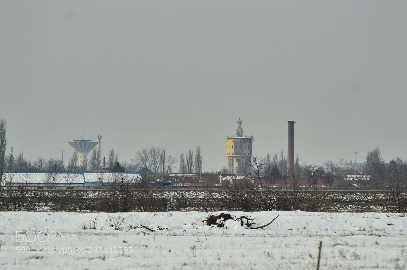Nikon D3200 sample photo. Untitled photography