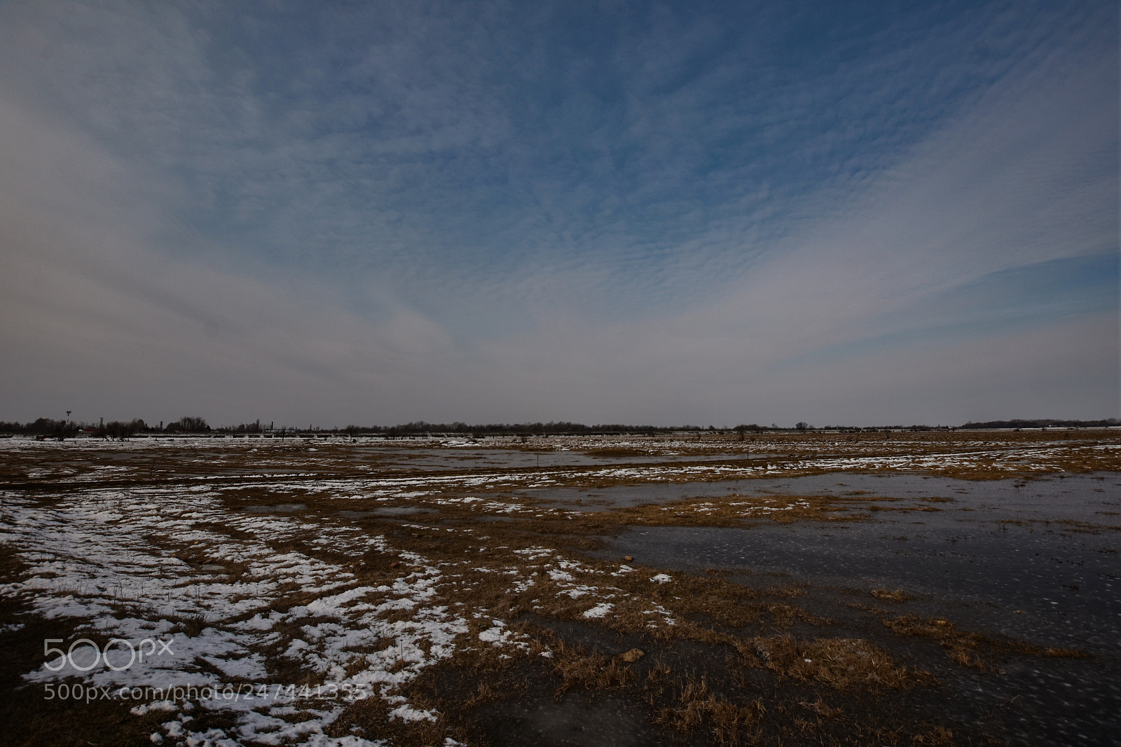 Nikon D7200 sample photo. Untitled photography