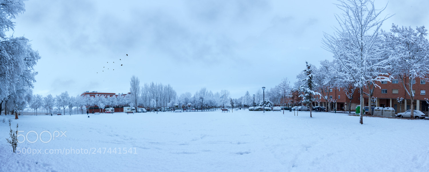 Nikon D7100 sample photo. Panorámica photography