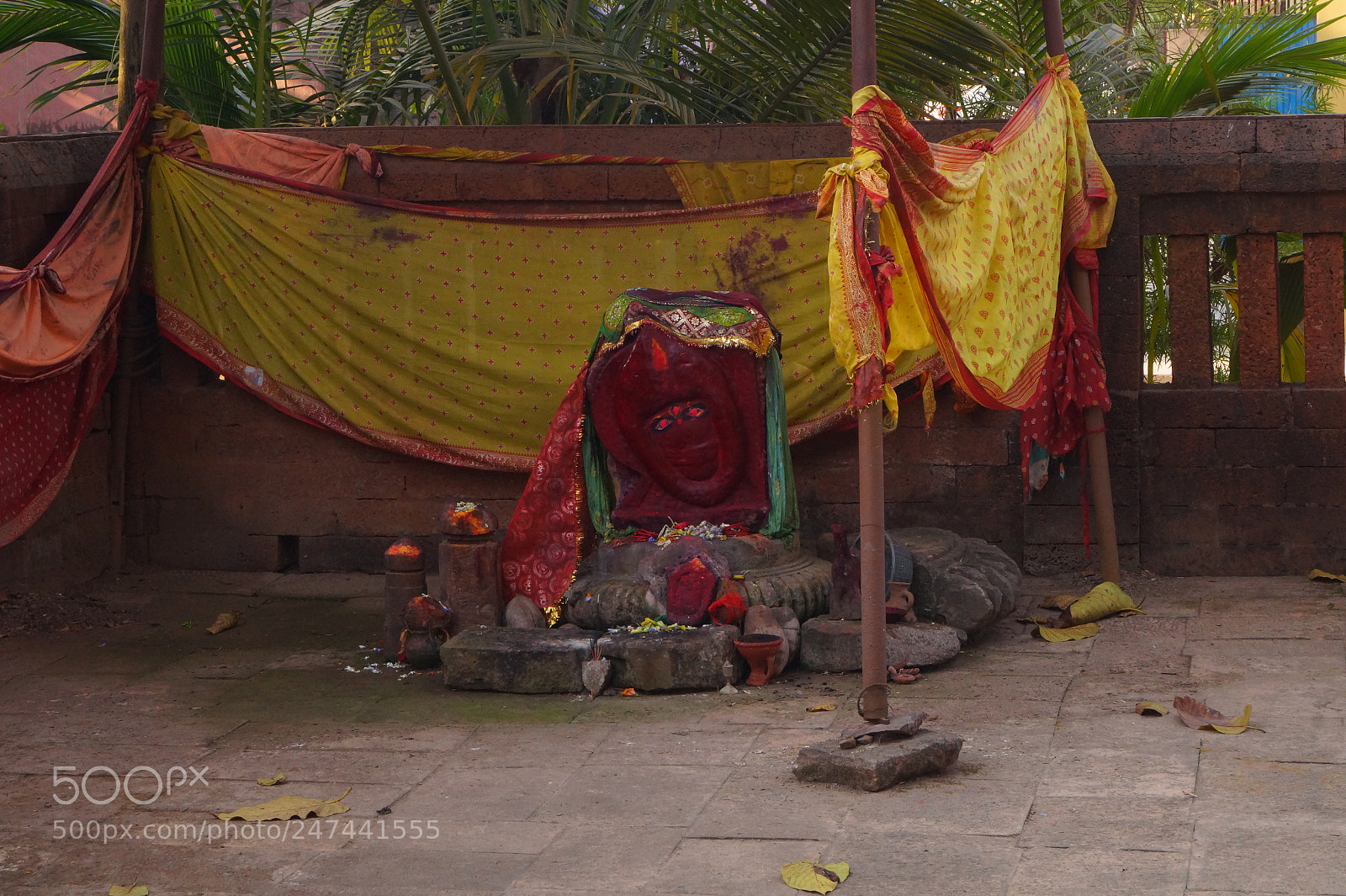 Sony SLT-A58 sample photo. Untitled photography