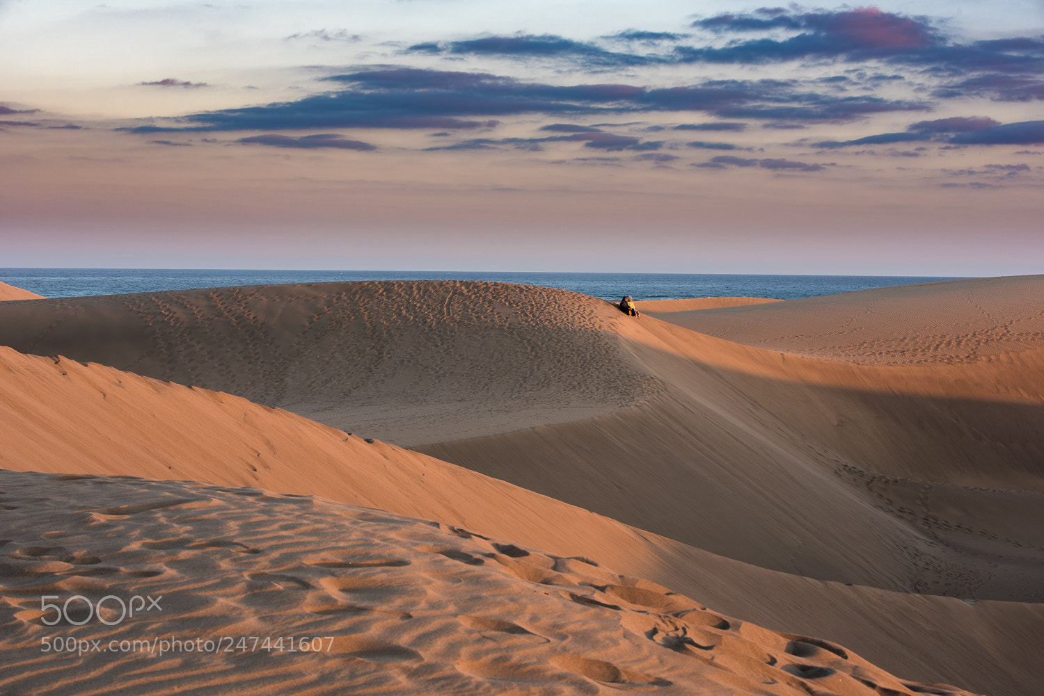 Nikon D810 sample photo. Maspalomas dunes photography