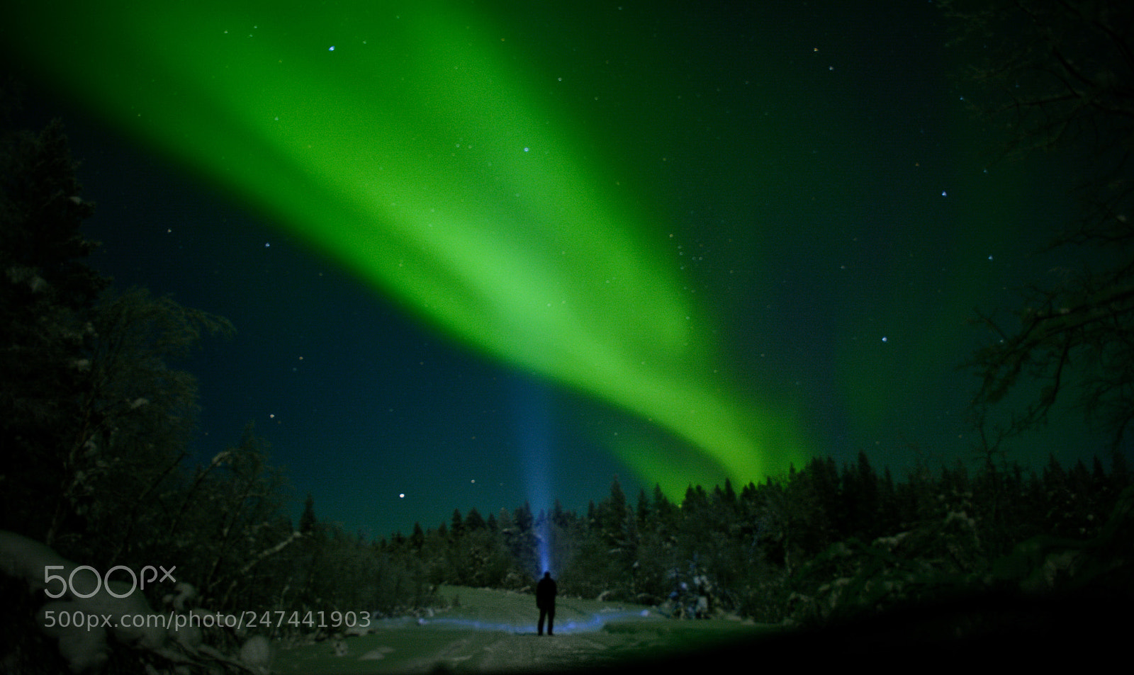 Nikon D5200 sample photo. Aurora dance photography