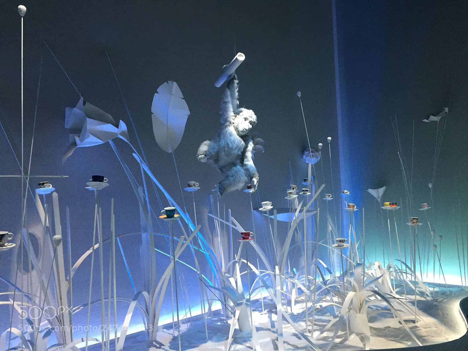 Apple iPhone 6 sample photo. Exhibition photography