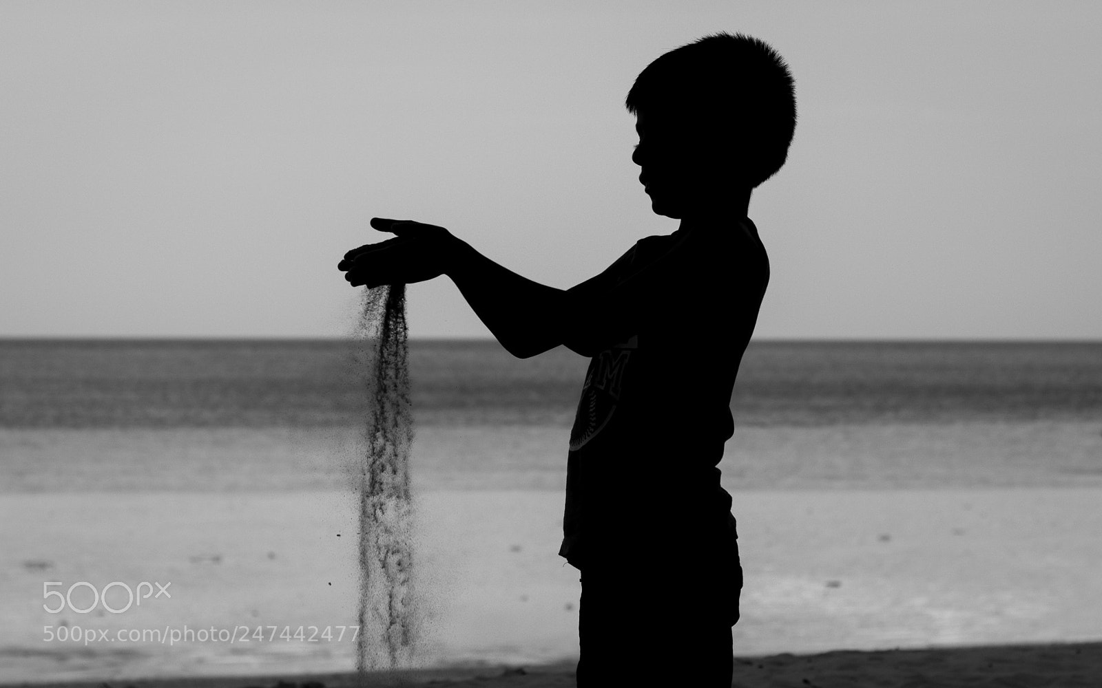 Canon EOS 600D (Rebel EOS T3i / EOS Kiss X5) sample photo. Silhouette photography