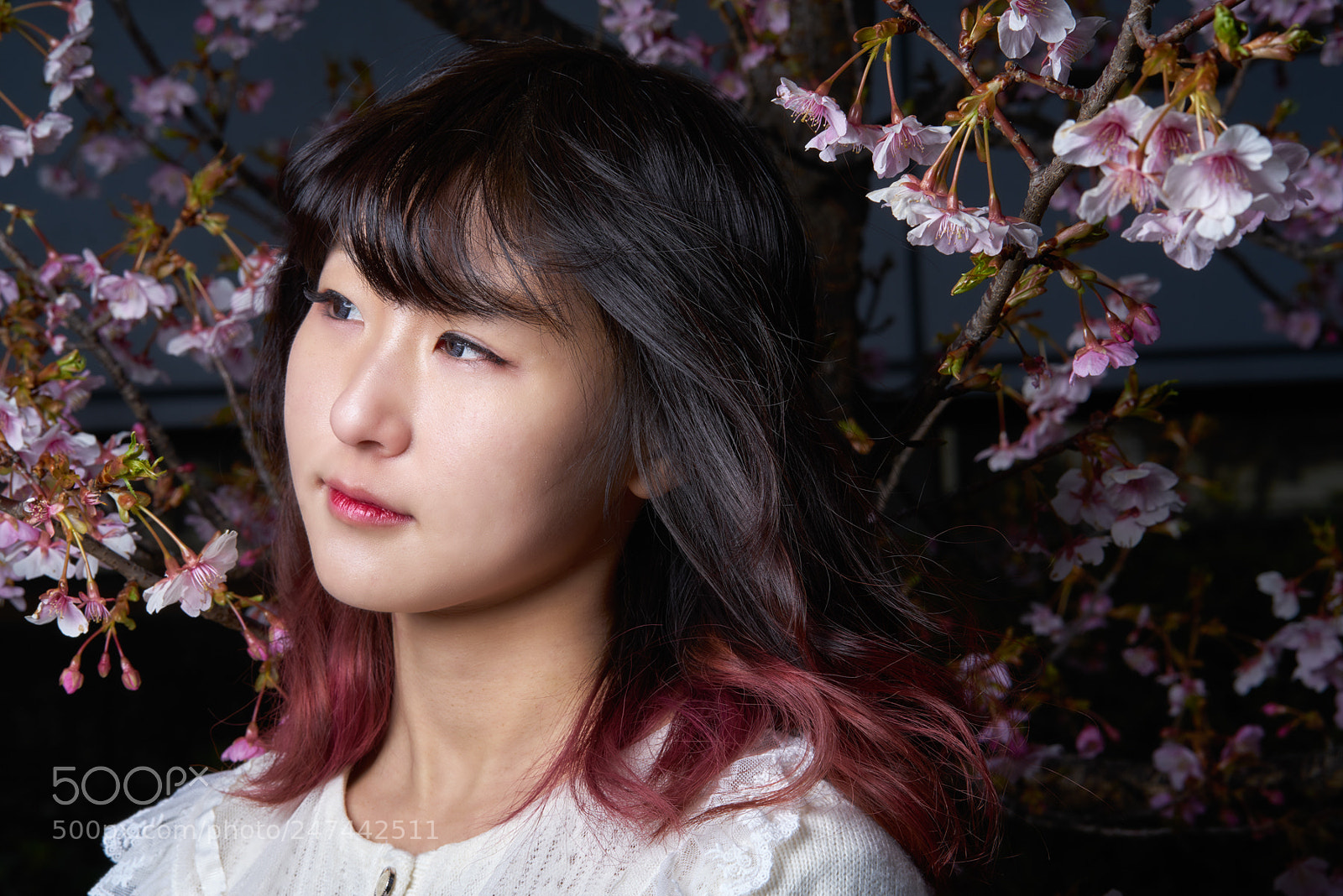 Sony a7R II sample photo. Sakura photography