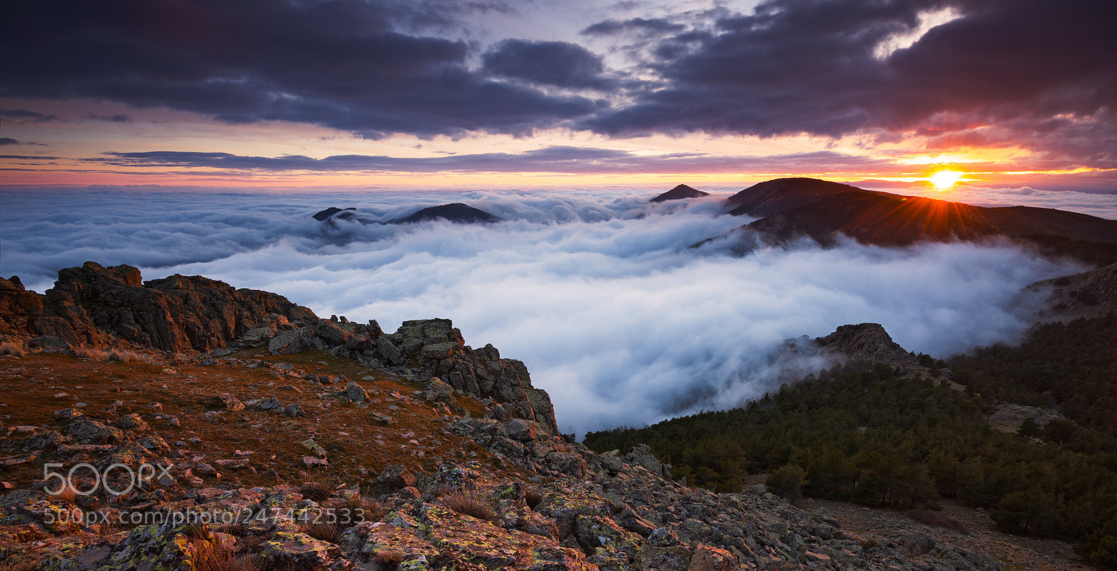 Nikon D800 sample photo. Sea of fog at photography