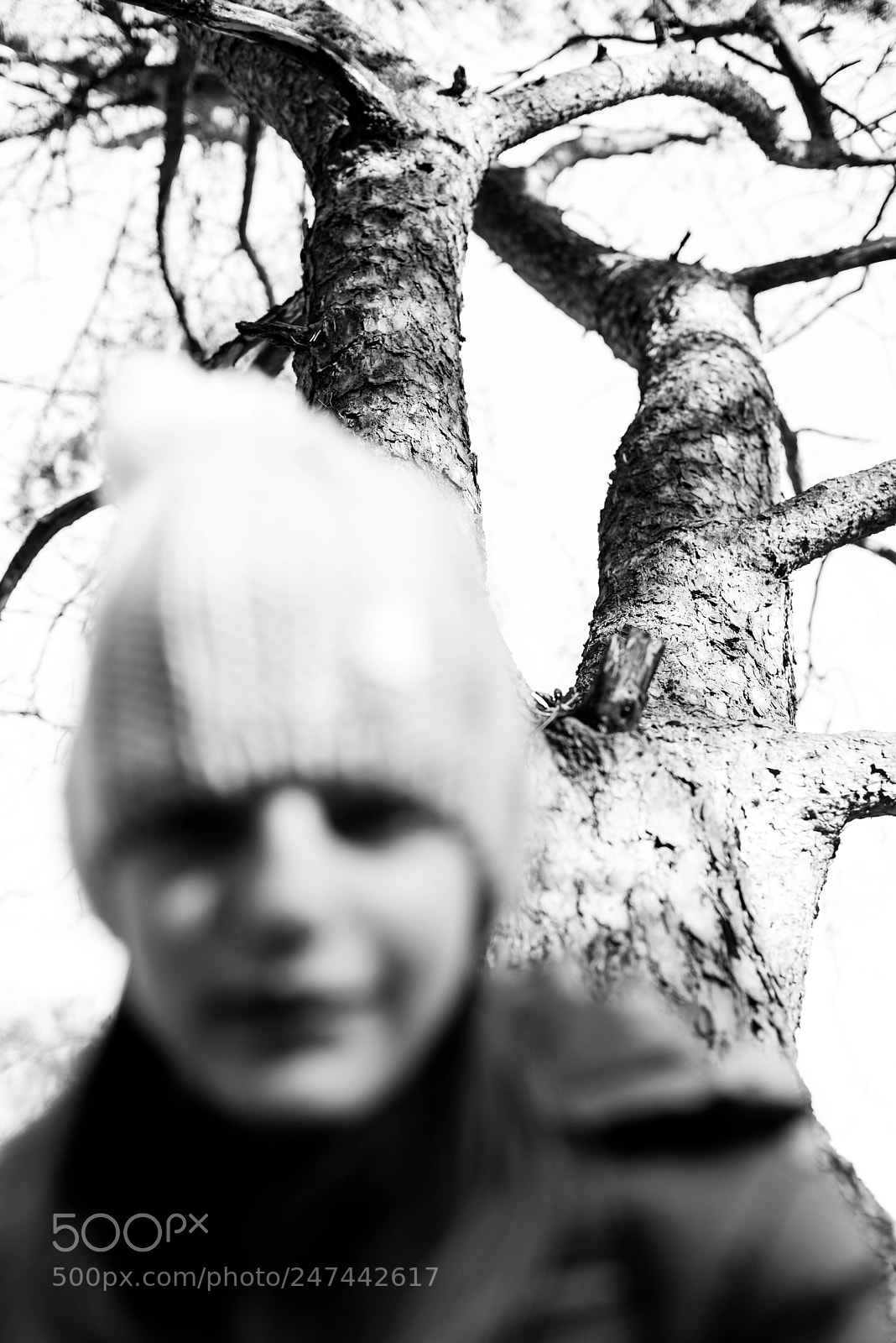 Nikon D800 sample photo. Roos photography