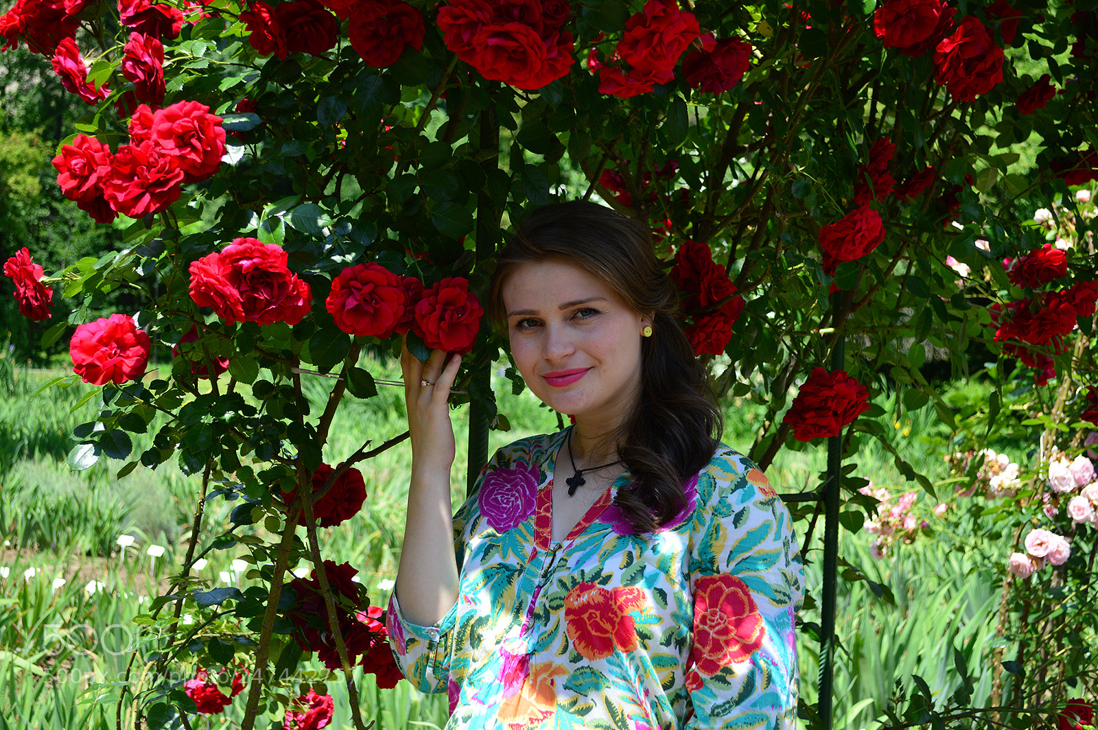 Nikon D3200 sample photo. Roses, beauty of summer photography