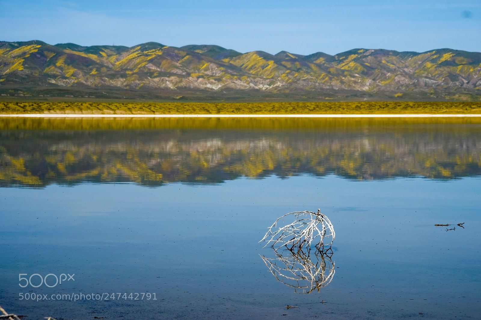 Fujifilm X-T2 sample photo. Carrizo plain national monument photography