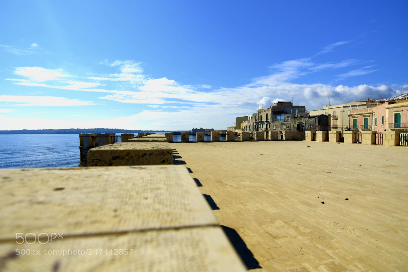 Nikon D5500 sample photo. Untitled photography