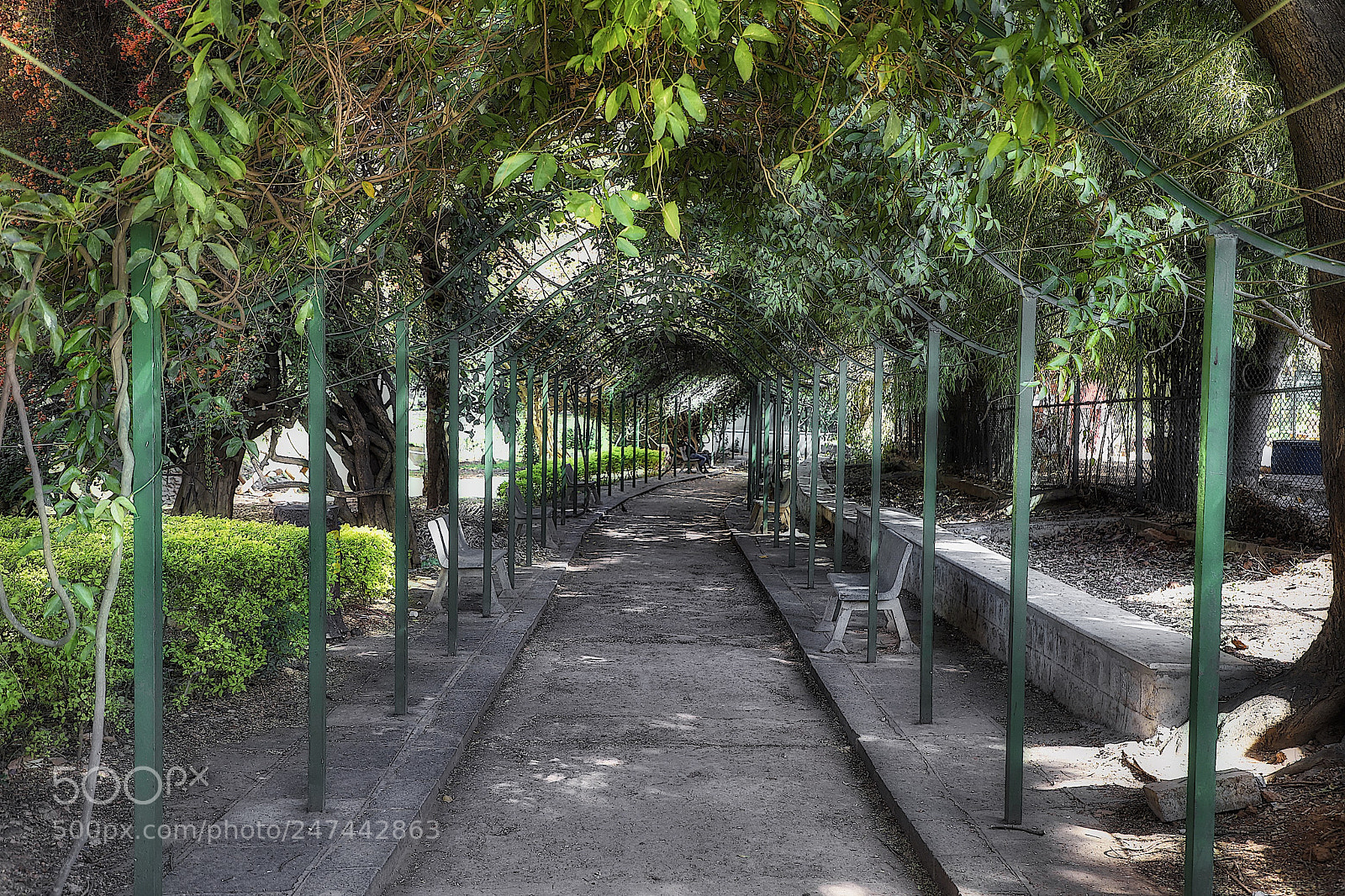 Canon EOS 6D Mark II sample photo. The arch.... photography