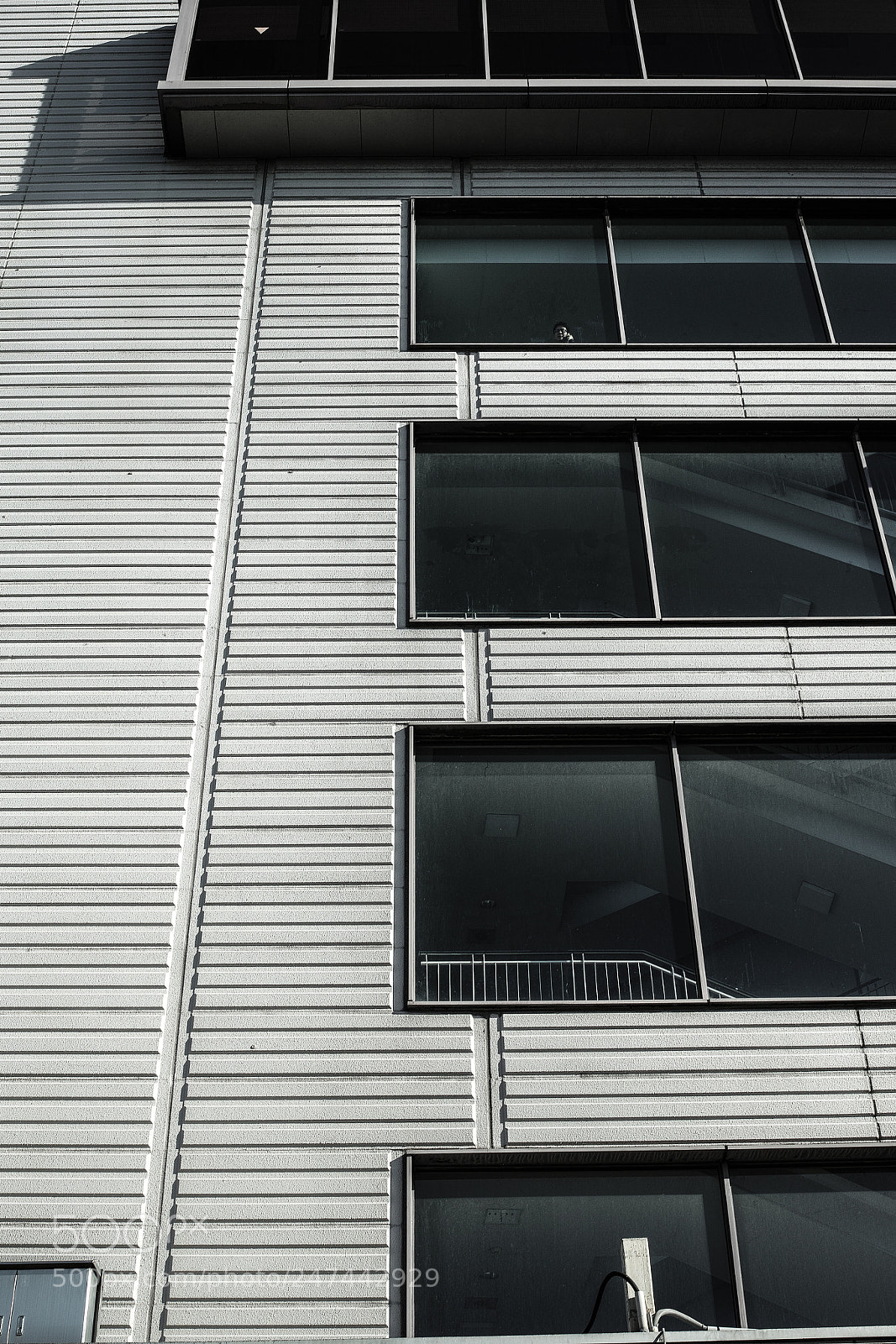 Sigma DP2 Merrill sample photo. 4f photography