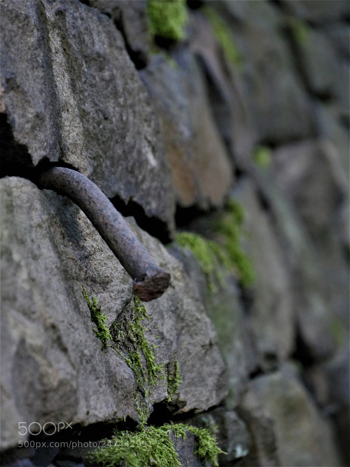 Panasonic Lumix DMC-GH4 sample photo. Untitled photography