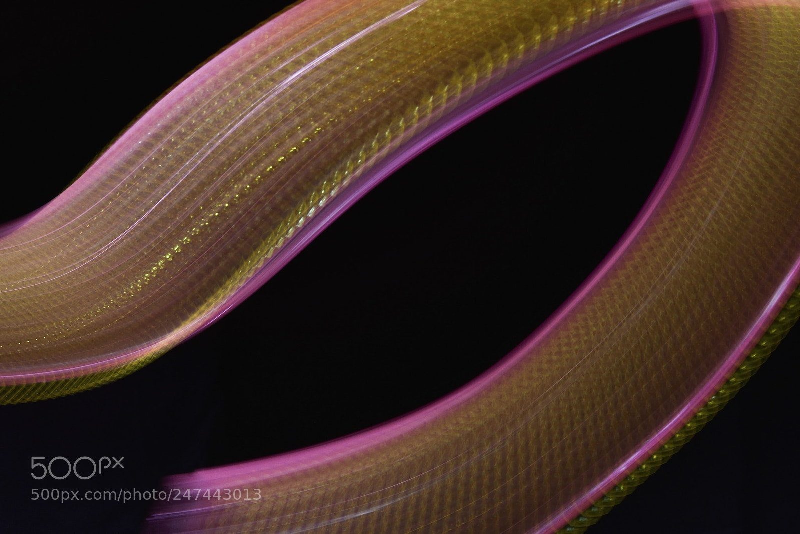 Nikon D7200 sample photo. Snake preview ? photography