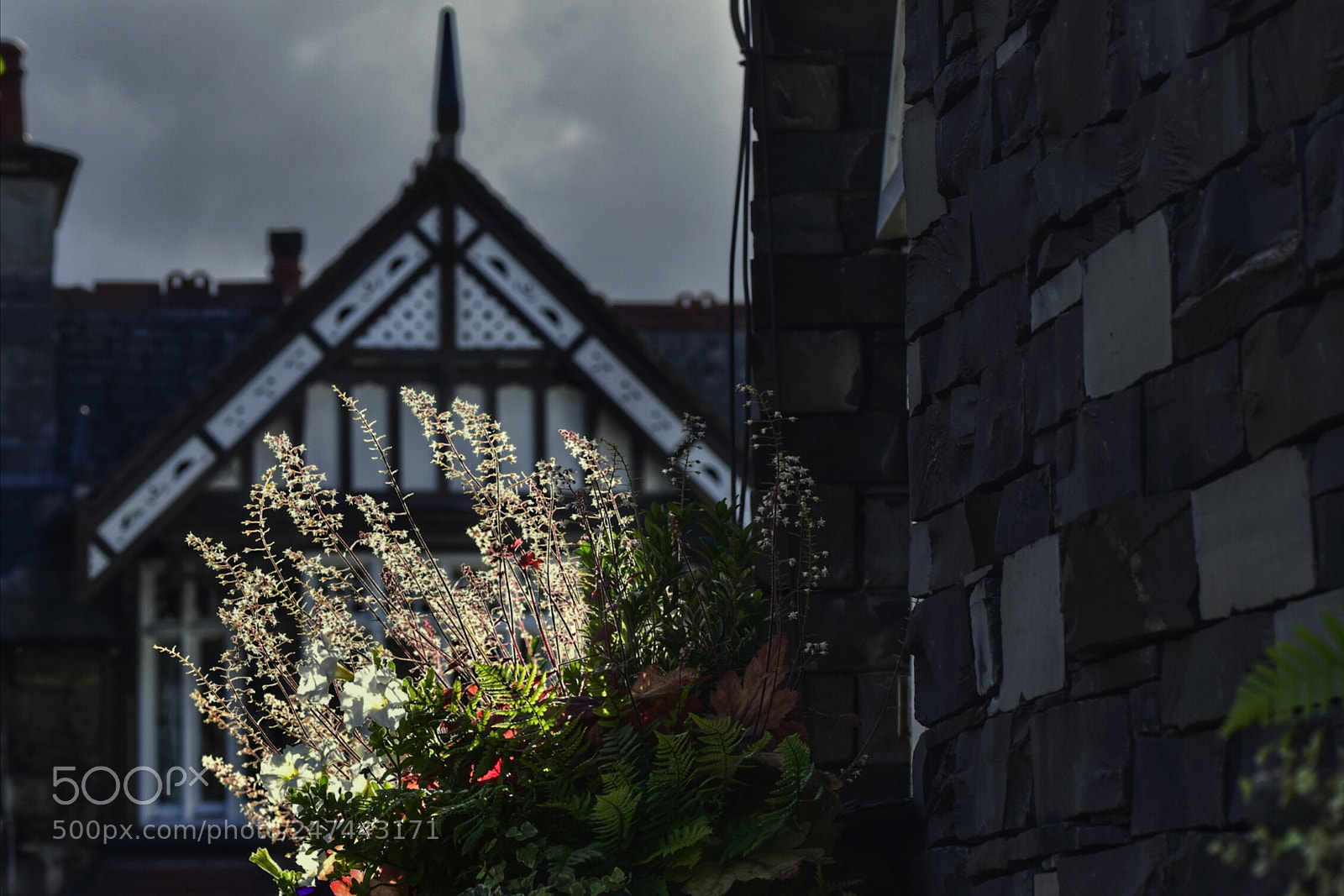 Nikon D810 sample photo. To get to the photography