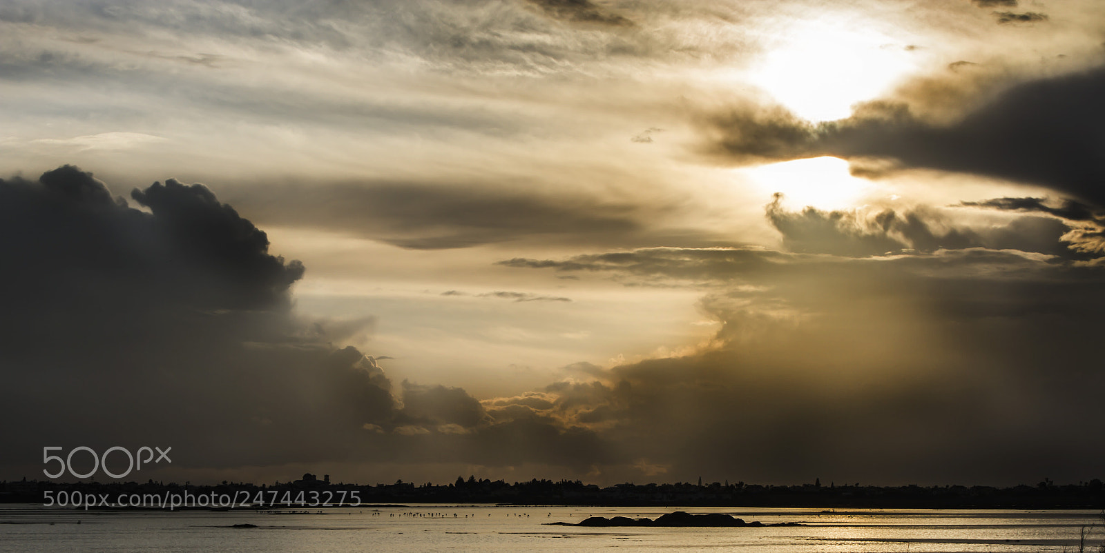 Canon EOS 7D sample photo. Yellow sky photography