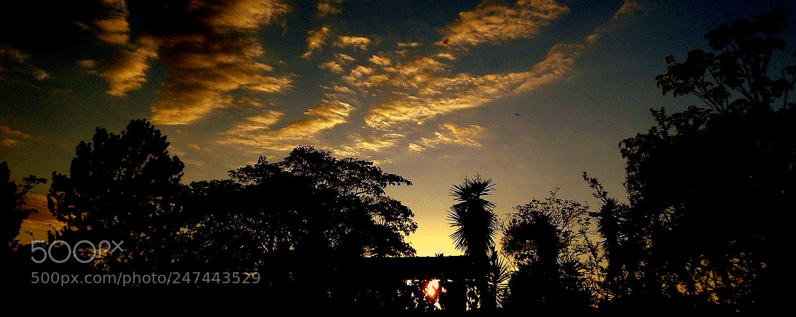 Fujifilm FinePix SL1000 sample photo. In the morning...colors photography