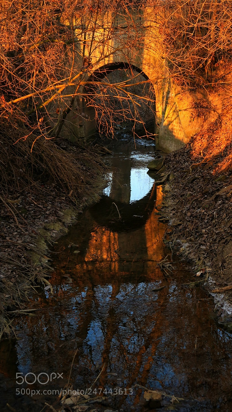 Canon PowerShot G7 X Mark II sample photo. Untitled photography