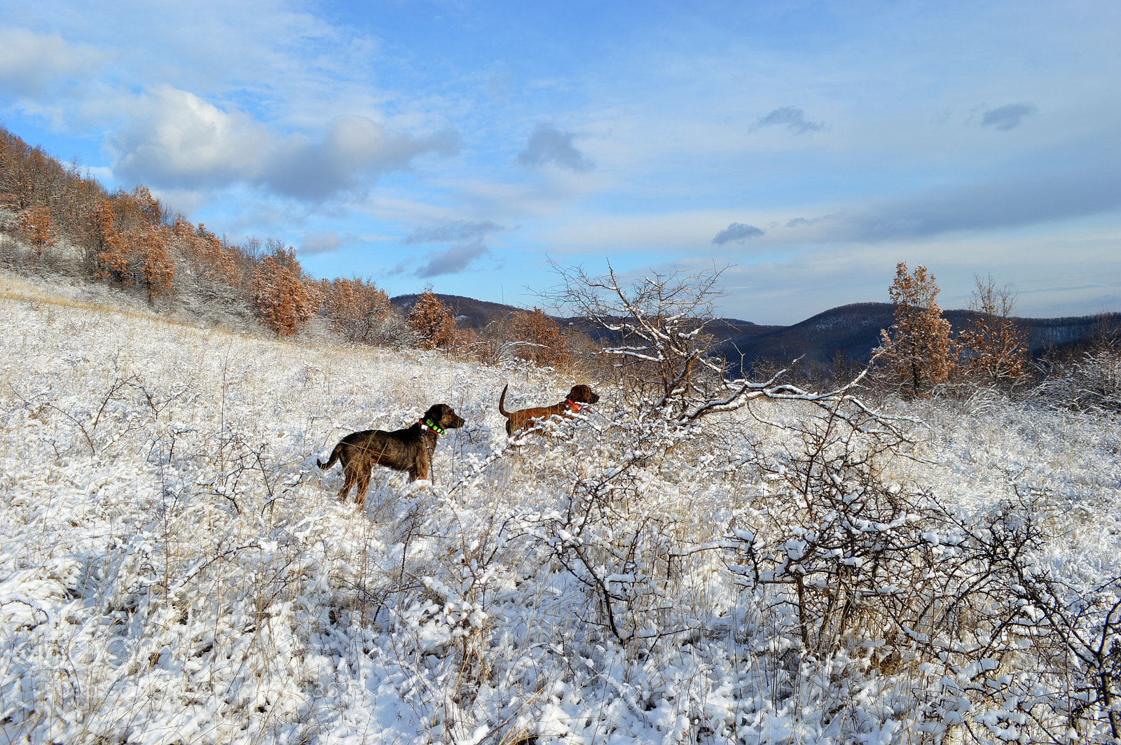 Nikon D3200 sample photo. Winter landscape photography