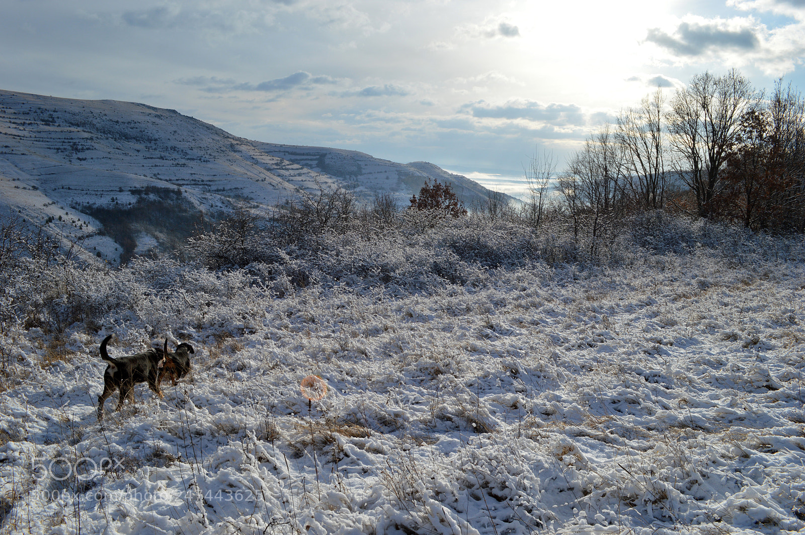 Nikon D3200 sample photo. Winter landscape photography