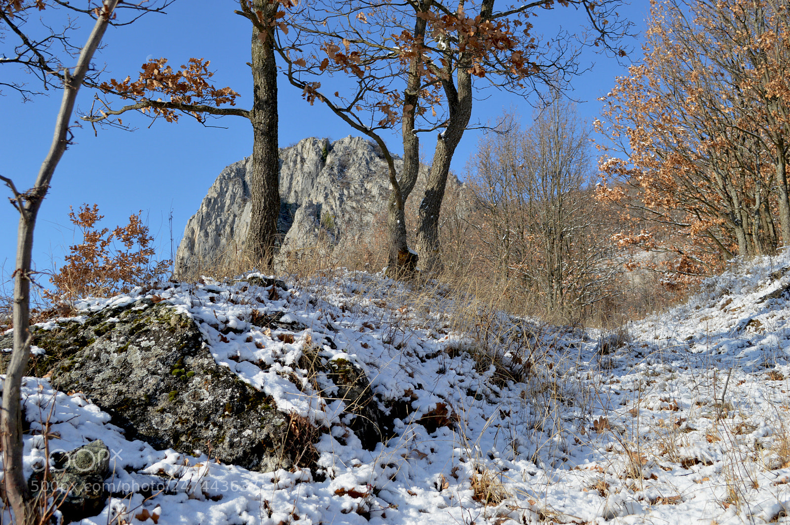 Nikon D3200 sample photo. Winter landscape photography