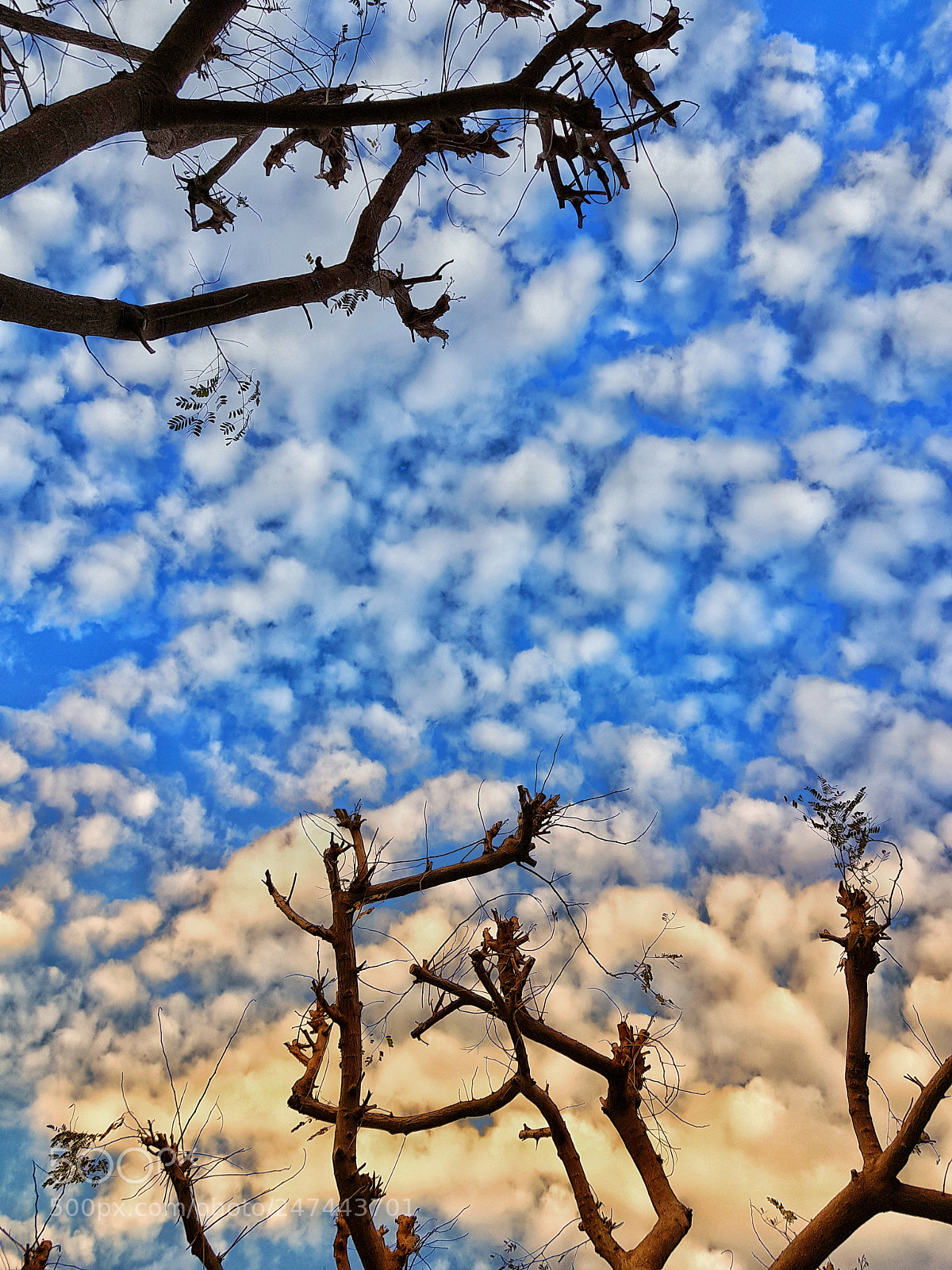 Samsung Galaxy S8+ sample photo. Cloudy photography