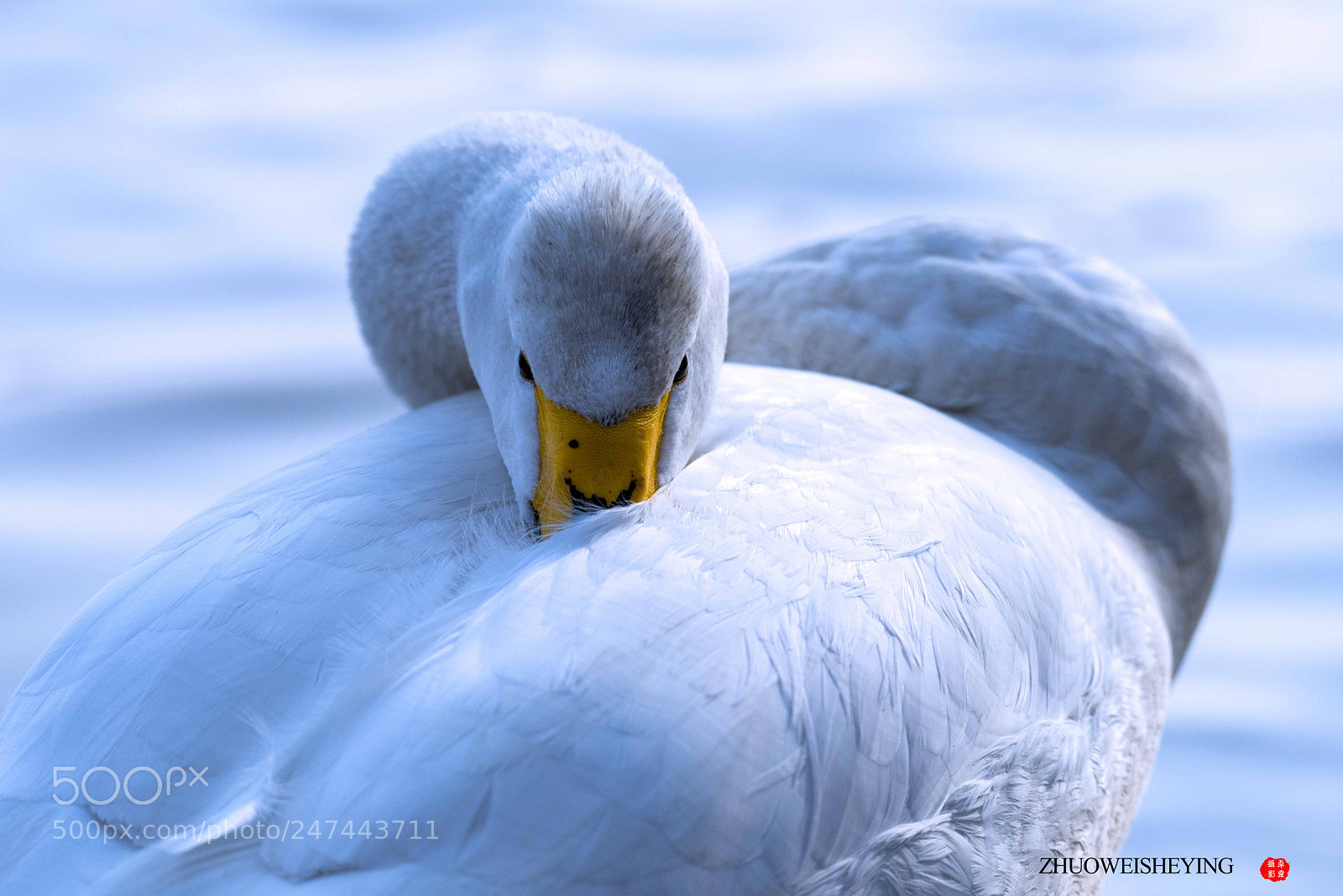 Nikon D810 sample photo. Untitled photography