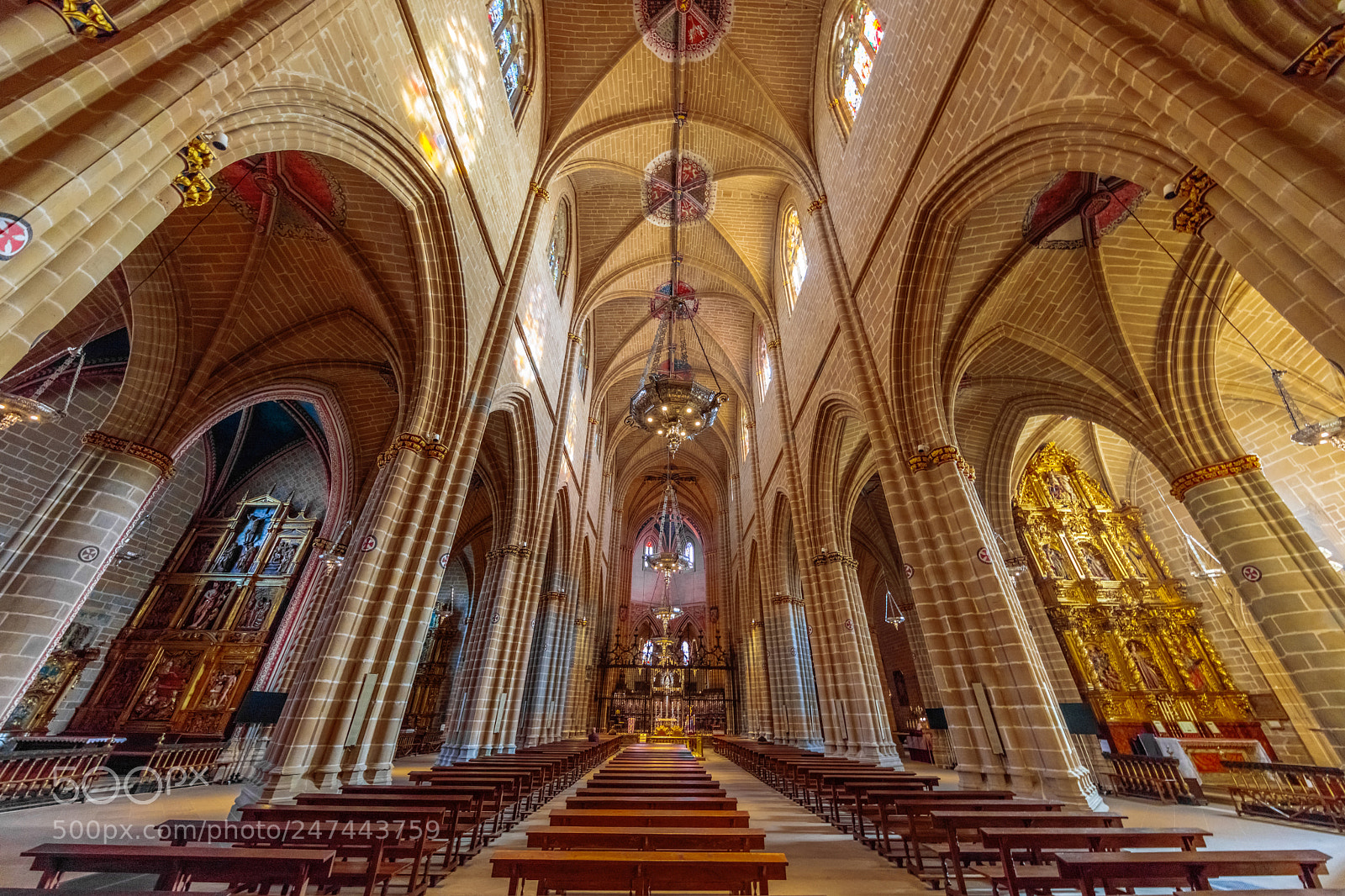 Canon EOS 5DS R sample photo. Catedral pamplona photography