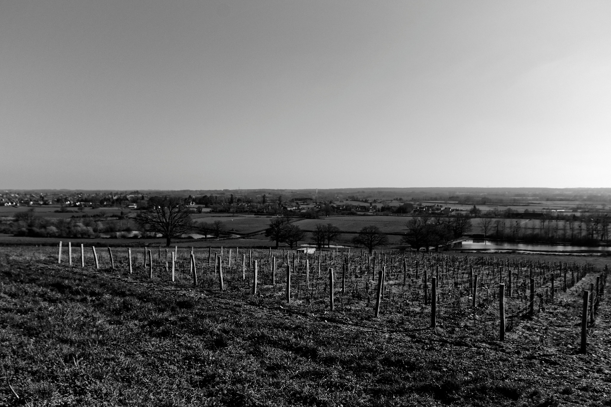Sigma 17-70mm F2.8-4 DC Macro OS HSM sample photo. Le boischaut photography