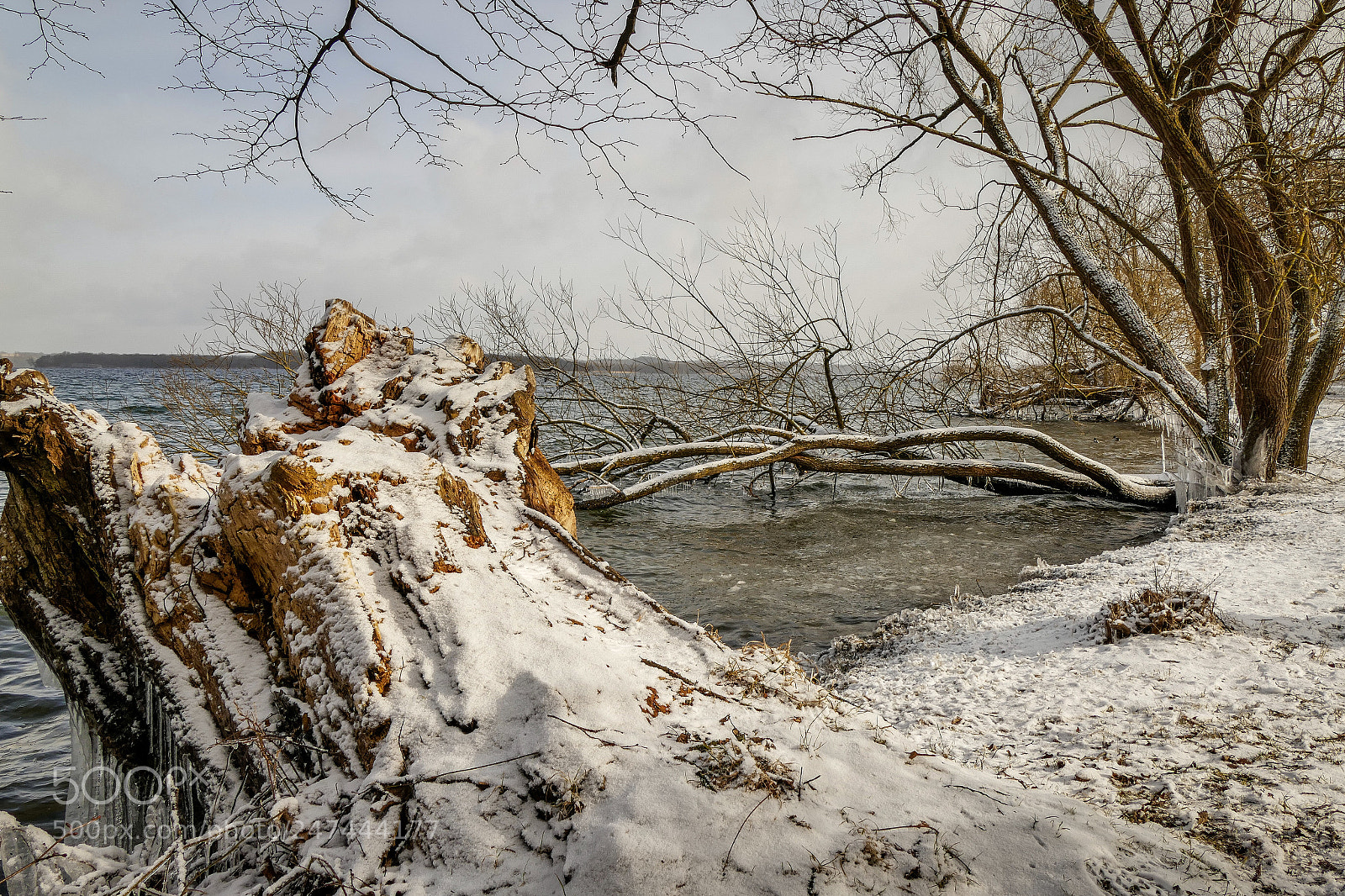 Panasonic Lumix DMC-FZ1000 sample photo. Winter am schweriner see photography