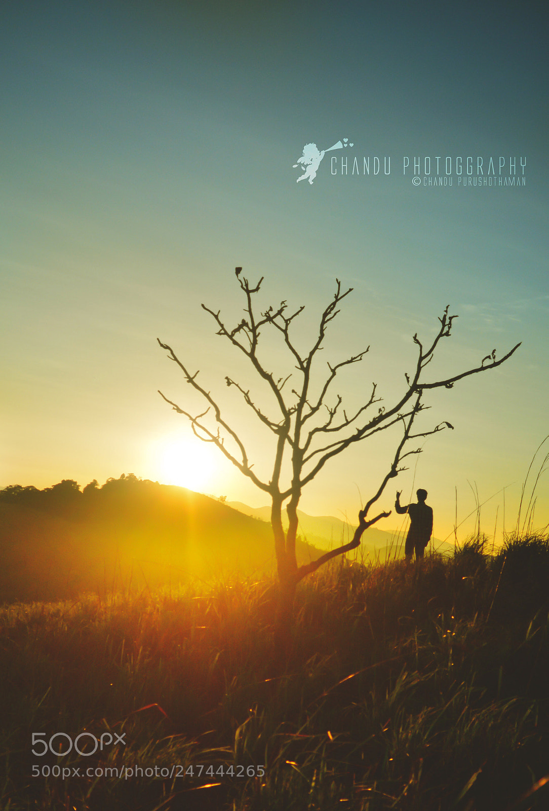 Nikon D5200 sample photo. Alone photography