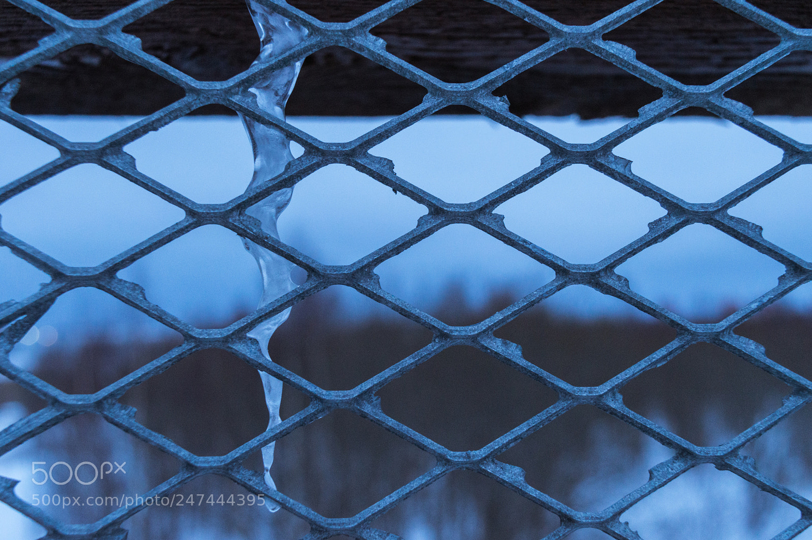 Nikon D3200 sample photo. Ice photography