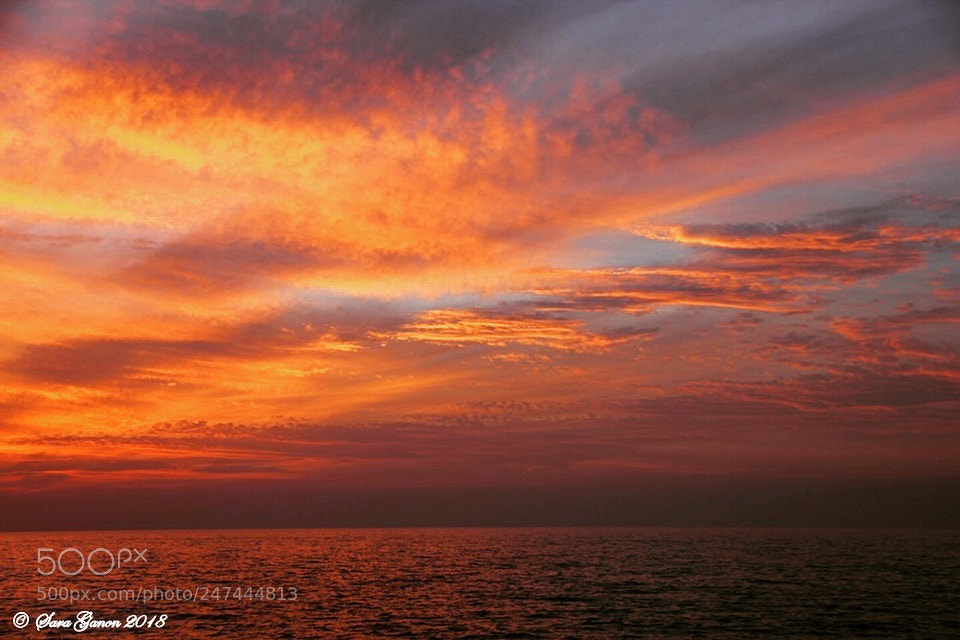 Canon EOS 550D (EOS Rebel T2i / EOS Kiss X4) sample photo. Sunset perfection ? photography
