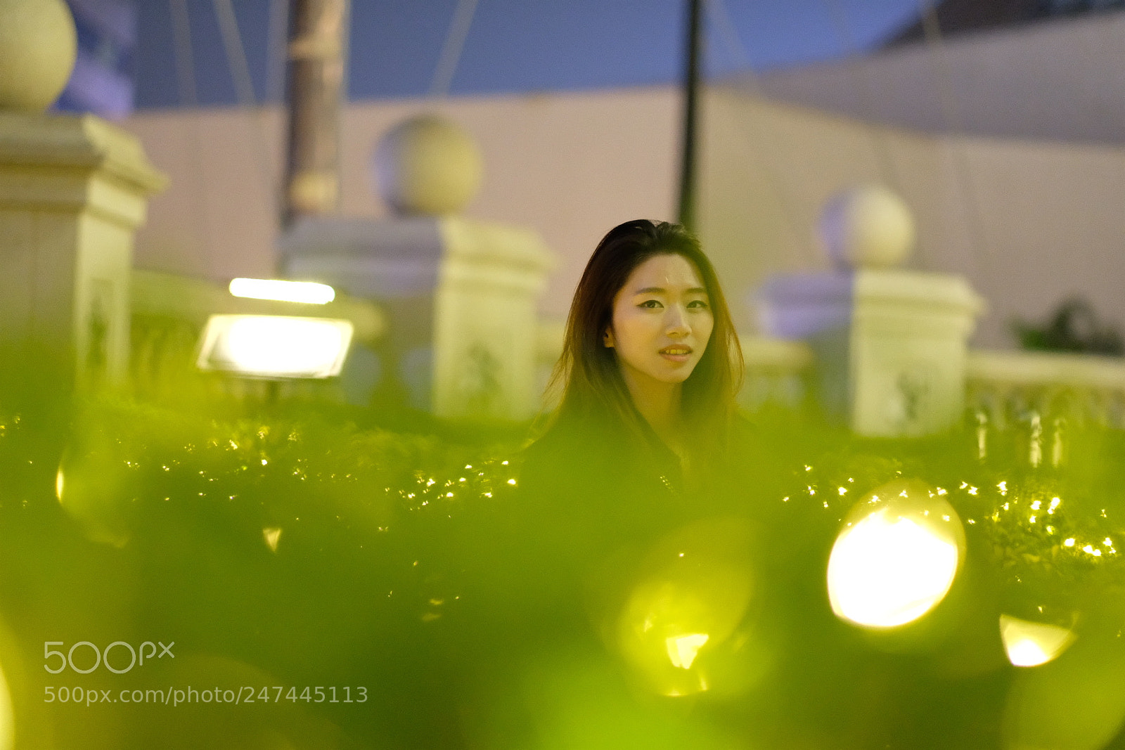 Fujifilm X-T2 sample photo. Untitled photography