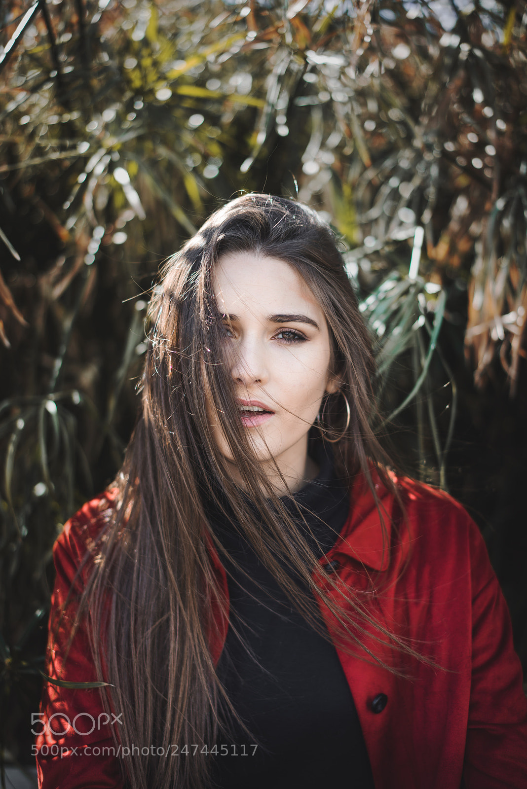 Sony a7R sample photo. Red photography