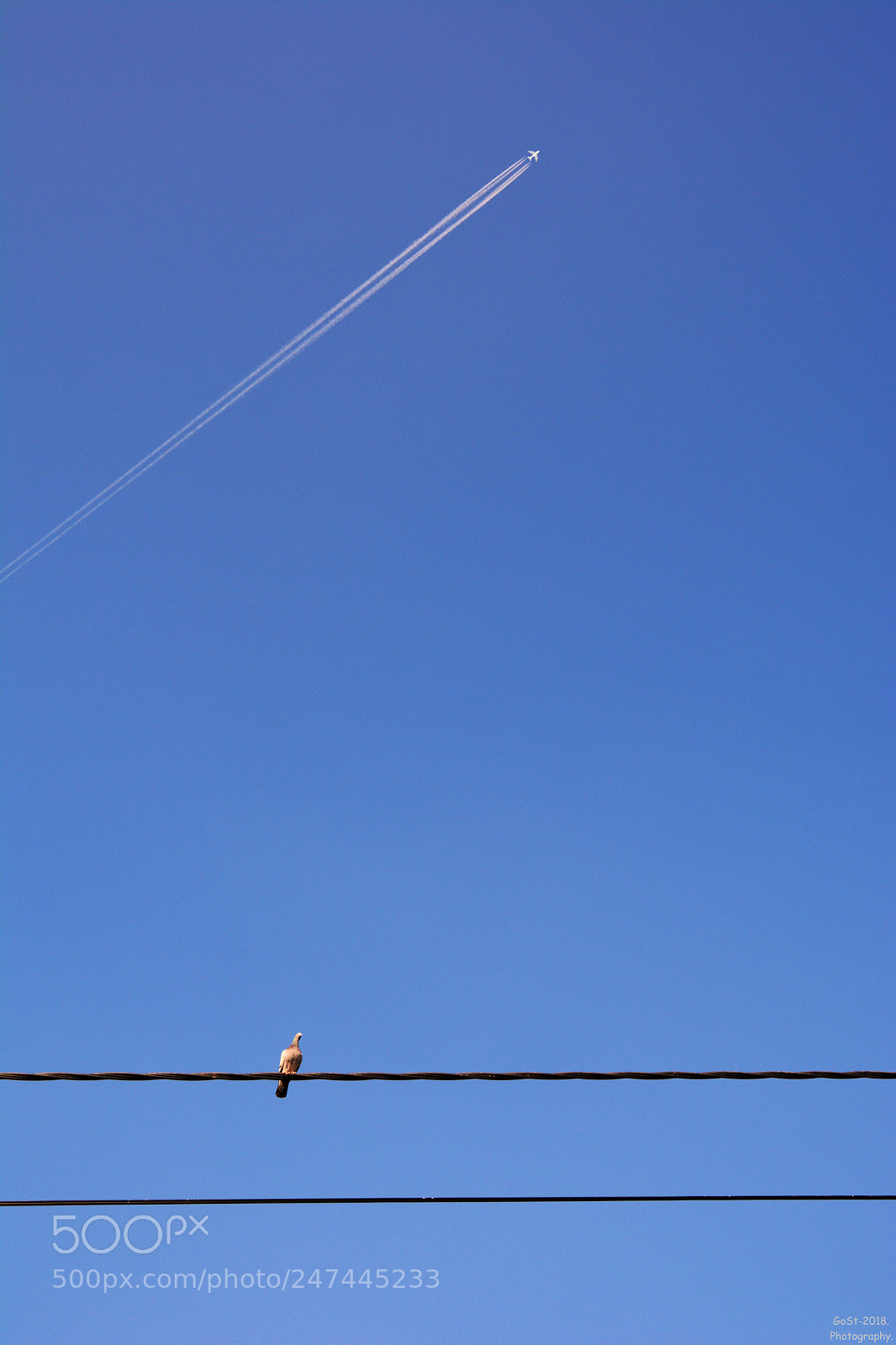 Nikon D5200 sample photo. Less is more. photography
