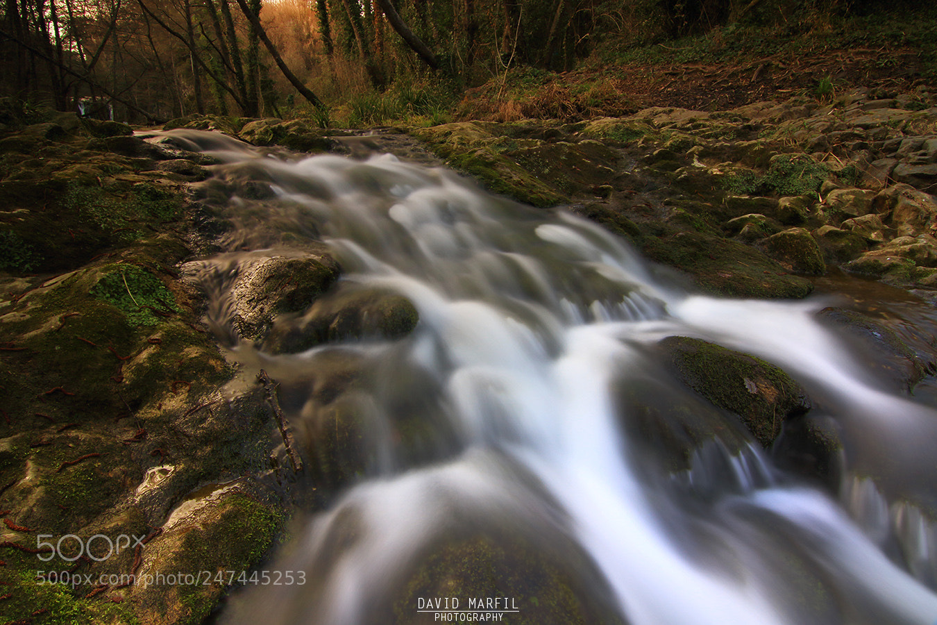 Canon EOS 7D Mark II sample photo. La garrotxa photography