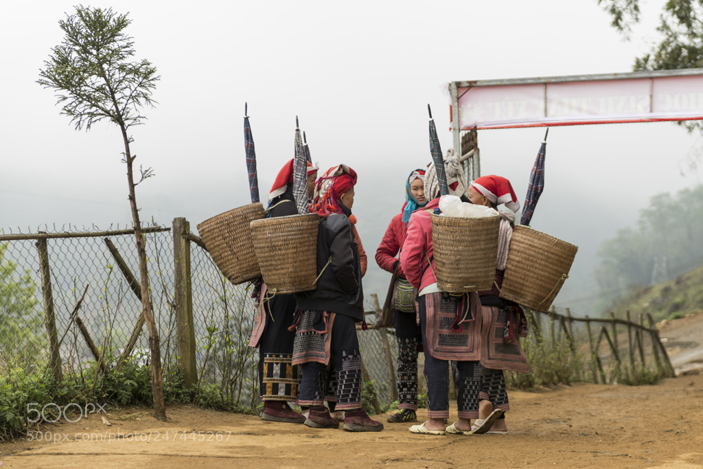 Nikon D800 sample photo. Vietnam photography