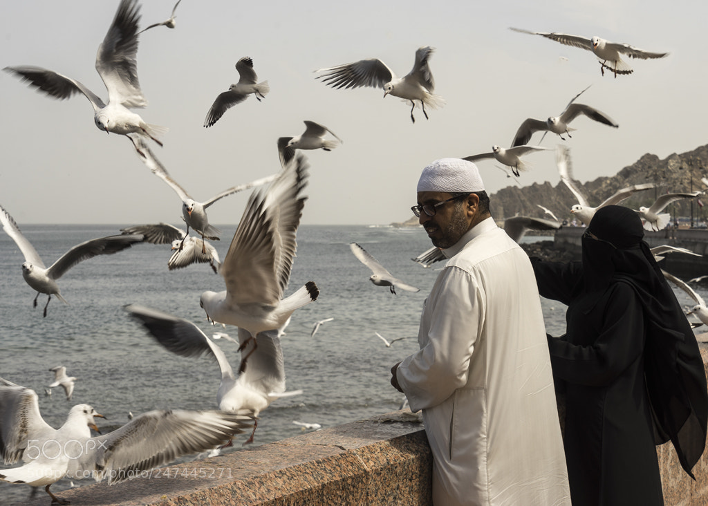 Sony a7 II sample photo. Dubai photography